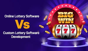 Custom Lottery Software 